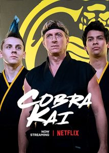 Cobra.Kai.S01.720p.BluRay.x264-NOMIYAGI – 7.9 GB