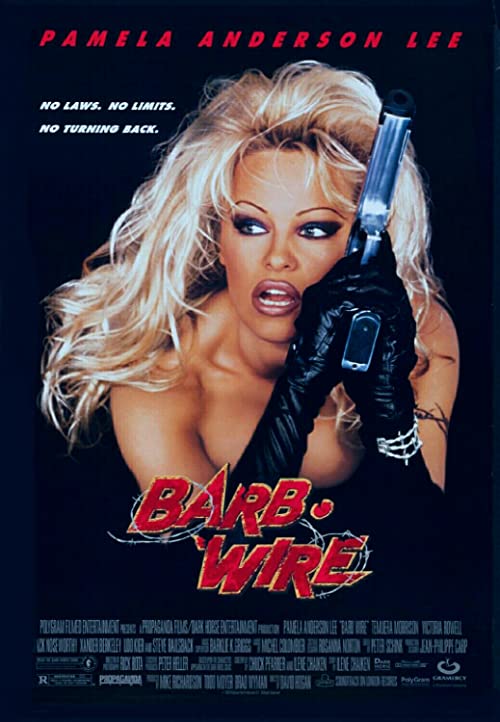 Barb.Wire.1996.720p.BluRay.x264-CiNEFiLE – 4.4 GB