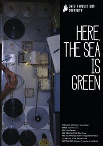 Here.The.Sea.is.Green.2018.1080p.AMZN.WEB-DL.DDP2.0.H.264-NTb – 582.7 MB