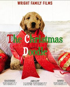 The.Christmas.Doodle.2019.1080p.AMZN.WEB-DL.DDP2.0.H.264-FC – 3.6 GB