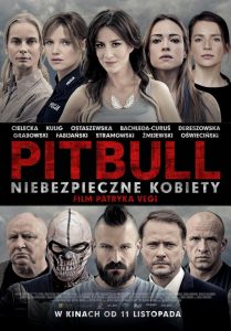 Pitbull.Tough.Women.2016.BluRay.1080p.DTS-HD.MA.5.1.AVC.REMUX-FraMeSToR – 29.8 GB