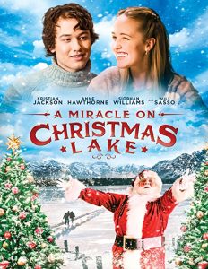 A.Miracle.on.Christmas.Lake.2016.1080p.Amazon.WEB-DL.DD+.5.1.x264-TrollHD – 4.7 GB