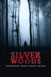 Silver.Woods.2017.1080p.AMZN.WEB-DL.DDP2.0.H.264-Meakes – 3.9 GB