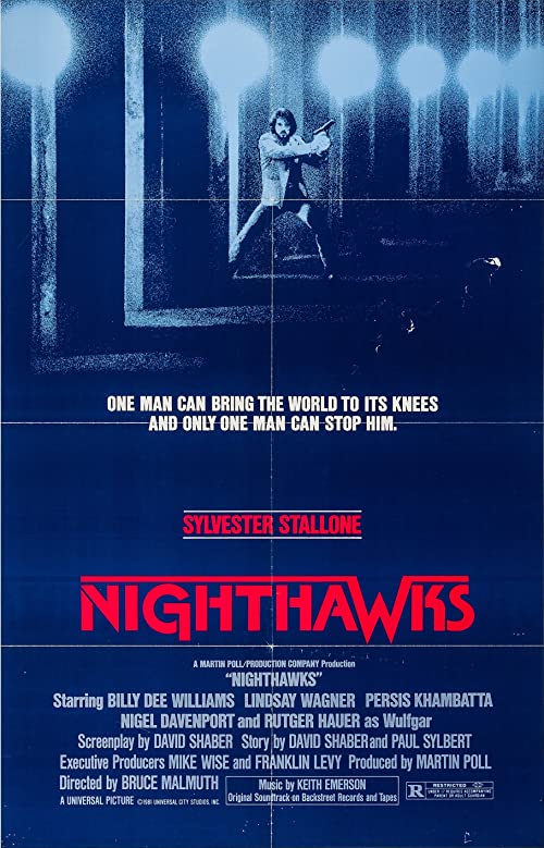 Nighthawks.1981.1080p.BluRay.x264-VETO – 6.6 GB