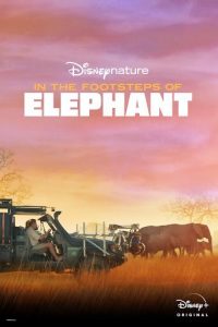 In.the.Footsteps.of.Elephant.2020.2160p.DSNP.WEB-DL.DDP5.1.HDR.HEVC-MZABI – 9.5 GB