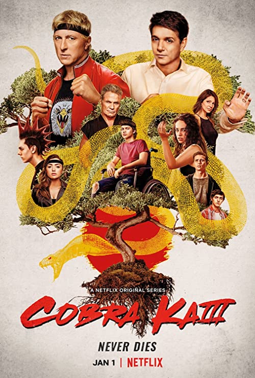 Cobra.Kai.S03.1080p.NF.WEBRip.DDP5.1.x264-NTb – 33.5 GB