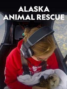Alaska.Animal.Rescue.S01.1080p.WEB-DL.DDP5.1.H.264-ROCCaT – 16.0 GB