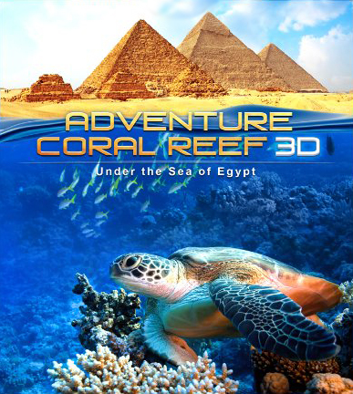 Adventure Coral Reef 3D Under the Sea of Egypt