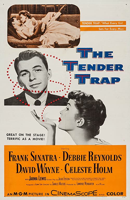 The.Tender.Trap.1955.1080p.WEBRip.DD5.1.x264-SbR – 11.6 GB