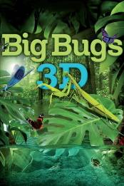 Big.Bugs.2012.720p.Bluray.DTS.5.1.x264-HDWinG – 2.7 GB