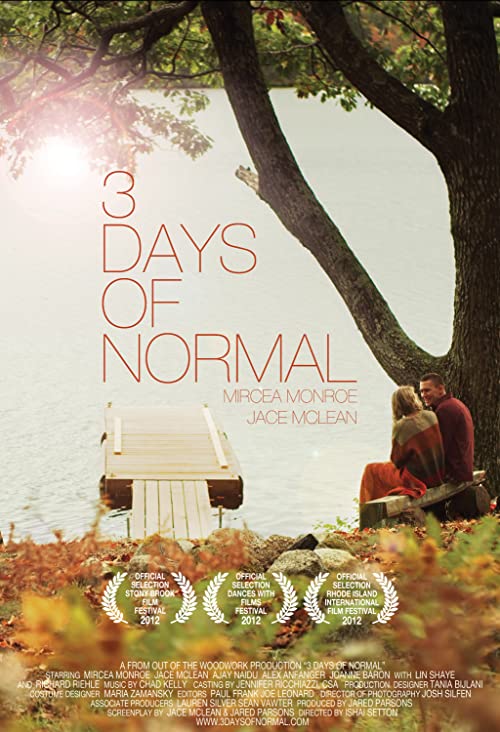 3.Days.of.Normal.2012.1080p.WEB-DL.H264-fiend – 3.0 GB