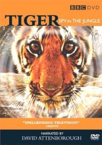 Tiger.Spy.in.the.Jungle.S01.1080p.NF.WEB-DL.DDP2.0.x264-qpdb – 8.4 GB