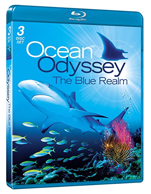 Ocean.Odyssey..The.Blue.Realm..2004-2008.720p.BluRay.AC3.2.0.x264-DON – 17.2 GB