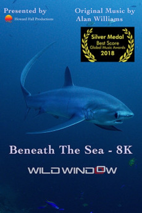 Wild.Window.Beneath.the.Sea.2018.1080p.WEB.h264-DOCiLE – 4.1 GB