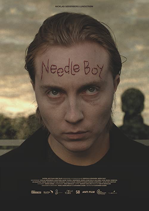 Needle.Boy.2016.1080p.WEB-DL.DDP2.0.H.264-858 – 4.6 GB