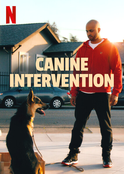 Canine.Intervention.S01.720p.NF.WEB-DL.DDP5.1.x264-LAZY – 4.3 GB