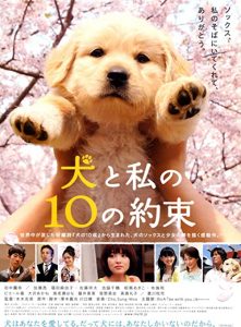 10.Promises.to.My.Dog.2008.JAPANESE.1080p.AMZN.WEB-DL.DDP2.0.x264-ARiN – 11.1 GB