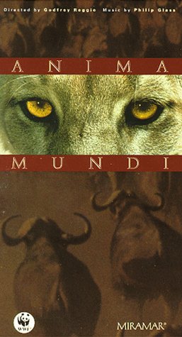 Anima.Mundi.1991.720p.BluRay.FLAC.x264-HANDJOB – 1.3 GB