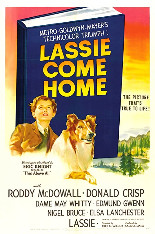 Lassie.Come.Home.1943.1080p.WEBRip.DD2.0.x264-SbR – 7.8 GB