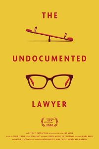 The.Undocumented.Lawyer.2020.1080p.WEB.h264-KOGi – 1.1 GB