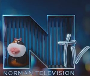 Norman.Television.2016.1080p.BluRay.DD5.1.x264-decibeL – 583.7 MB