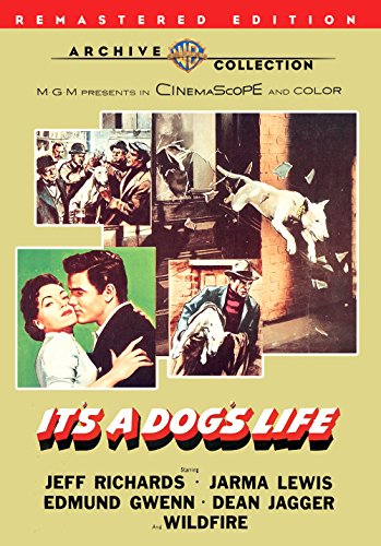 Its.a.Dogs.Life.1955.1080p.WEB-DL.DD+2.0.H.264-SbR – 6.1 GB