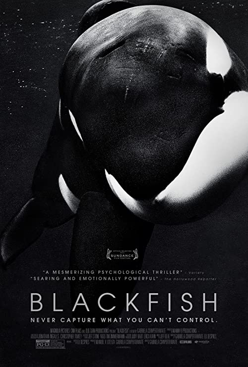 Blackfish.2013.1080p.CEE.Blu-ray.Remux.AVC.DTS-HD.MA.5.1-KRaLiMaRKo – 17.2 GB