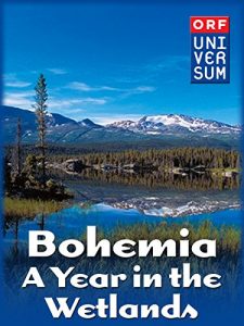 Bohemia.A.Year.in.the.Wetlands.2011.1080p.AMZN.WEB-DL.DDP2.0.H.264-SymBiOTes – 3.5 GB