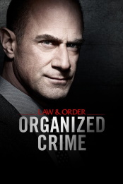 Law.and.Order.Organized.Crime.S02E20.720p.HDTV.x264-SYNCOPY – 891.0 MB