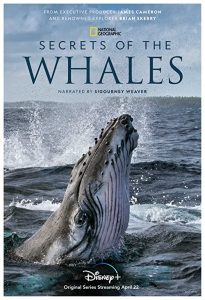 Secrets.of.the.Whales.S01.720p.DSNP.WEB-DL.DDP5.1.H.264-LAZY – 5.8 GB