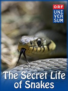 The.Secret.Life.of.Snakes.2016.1080p.AMZN.WEB-DL.DDP2.0.H.264-KAIZEN – 4.8 GB