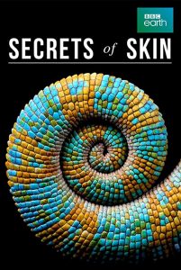 Secrets.of.Skin.S01.1080p.AMZN.WEB-DL.DDP2.0.H.264-TEPES – 10.7 GB