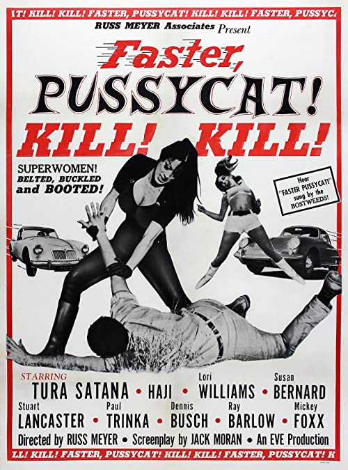 Faster.Pussycat.Kill.Kill.1965.1080p.BluRay.X264-AMIABLE – 7.9 GB