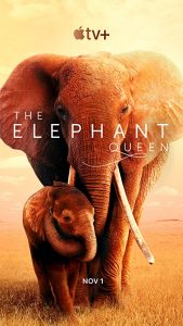 The.Elephant.Queen.2019.2160p.ATVP.WEB-DL.DD5.1.Atmos.DoVi.HEVC-iKA – 16.6 GB