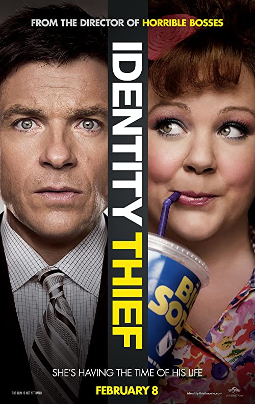 Identity.Thief.2013.Unrated.720p.BluRay.DTS.x264-ThD – 3.9 GB