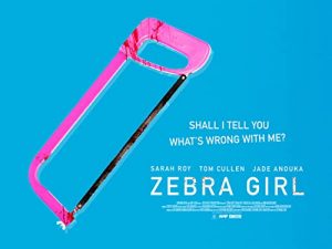 Zebra.Girl.2021.1080p.WEB-DL.DD5.1.H.264-EVO – 2.9 GB