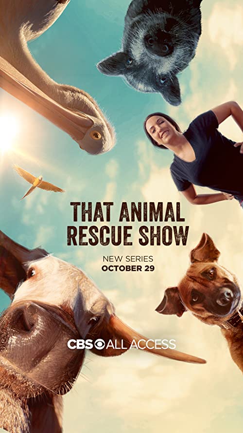 That.Animal.Rescue.Show.S01.720p.AMZN.WEB-DL.DDP5.1.H.264-NTb – 12.6 GB
