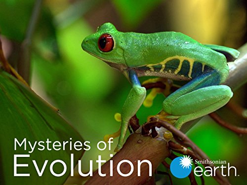 Mysteries.of.Evolution.S01.720p.AMZN.WEB-DL.DDP2.0.H.264-WELP – 5.5 GB