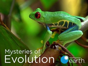 Mysteries.of.Evolution.S01.720p.PMTP.WEB-DL.AAC2.0.x264-NTb – 3.0 GB
