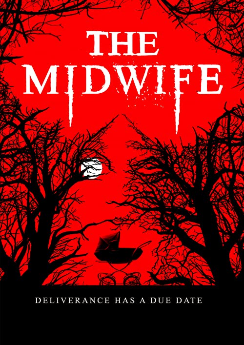 The.Midwife.2021.1080p.WEB-DL.DD5.1.H.264-EVO – 2.9 GB