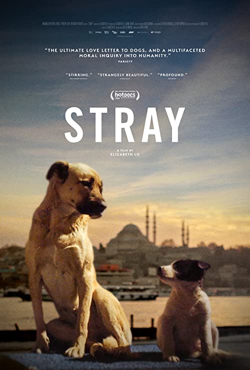 Stray.2020.SUBBED.1080p.BluRay.x264-SCARE – 9.9 GB