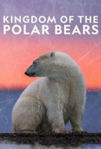 Kingdom.of.the.Polar.Bears.S01.720p.DSNP.WEB-DL.DDP5.1.H.264-NTb – 2.6 GB