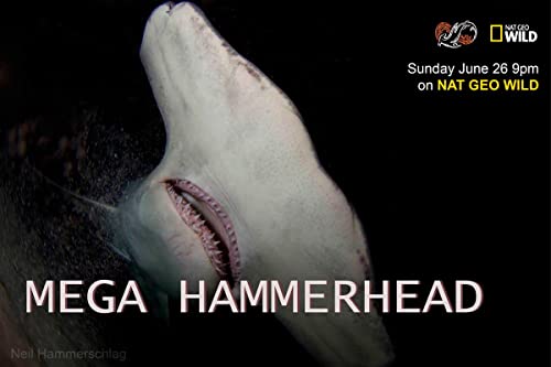 Mega Hammerhead