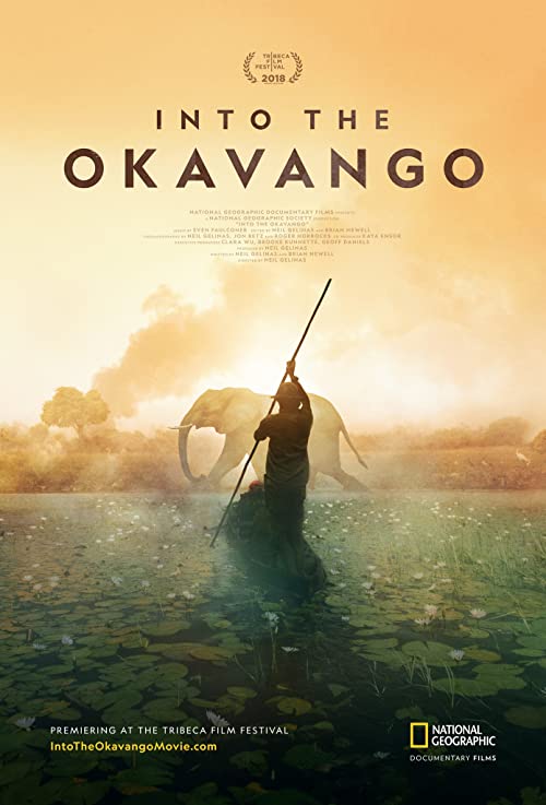 Into.the.Okavango.2018.1080p.DSNP.WEB-DL.DDP.5.1.H.264-FLUX – 5.7 GB