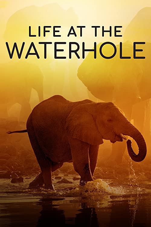 Life.at.the.Waterhole.S01.720p.AMZN.WEB-DL.DDP2.0.H.264-NTb – 5.9 GB