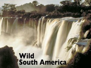 Wild.Central.America.S01.1080p.DSNP.WEB-DL.DDP5.1.H.264-NTb – 5.4 GB
