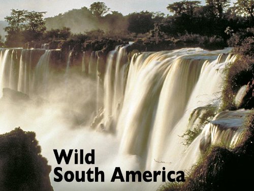 Wild South America