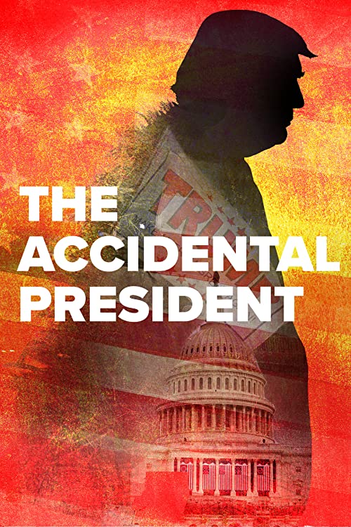 book accidental presidents