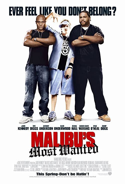 Malibus.Most.Wanted.2003.1080p.WEB-DL.DD.5.1.H264-alfaHD – 2.9 GB