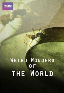 Weird.Wonders.of.the.World.S01.720p.AMZN.WEB-DL.DDP2.0.H.264-NTb – 15.3 GB